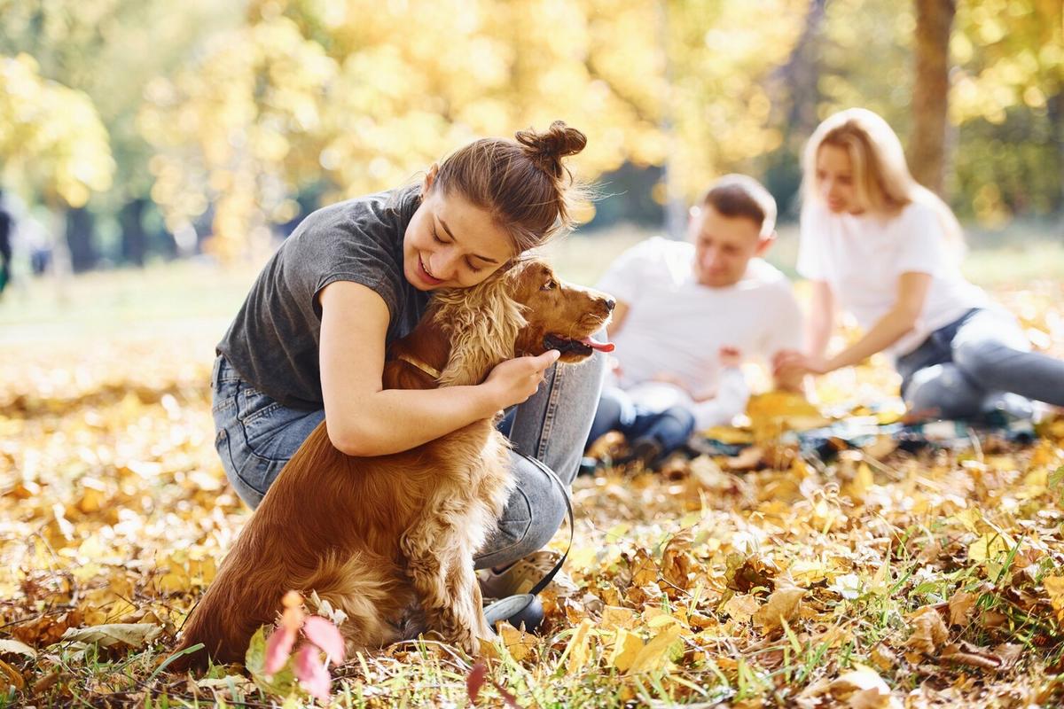 Seasonal Care Tips for Dogs and Cats